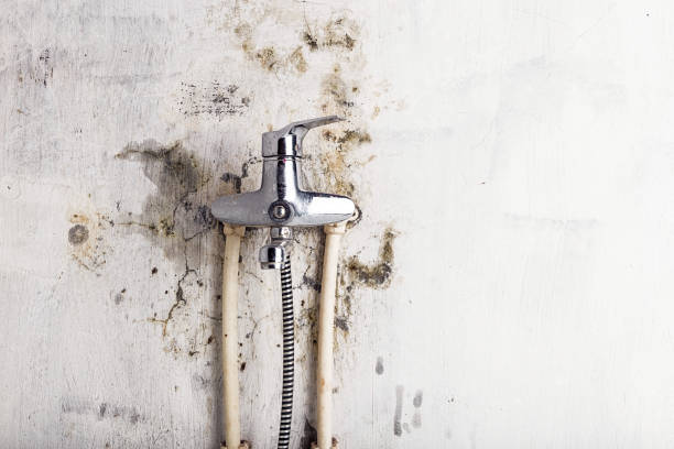 Best Water Damage Restoration  in Judson, SC